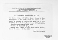 Peronospora ficariae image